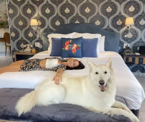 Pet Friendly